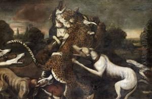 Hundar Attackerande Panter
