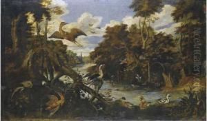 Paesaggio Fluviale Con Volatili