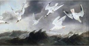 A Flock Of Terns And Gulls Above Stormy Seas