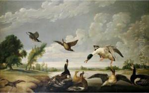 A River Landscape With Muscovy Ducks And Other Birds A River Landscape With Muscovy Ducks And Other Birds