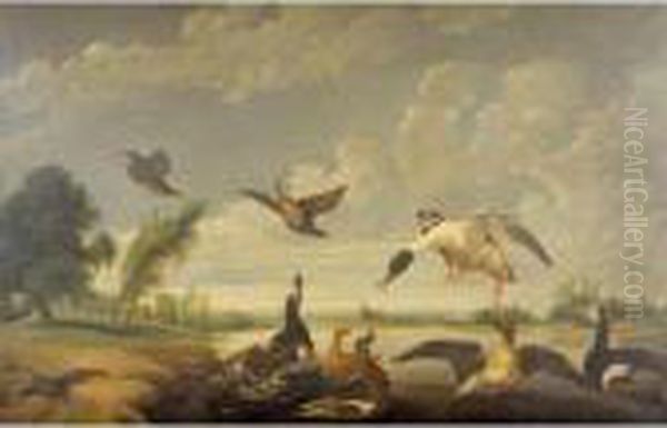 Ducks And Other Birds In A Landscape - view 1