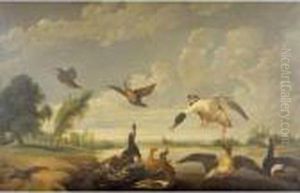 Ducks And Other Birds In A Landscape by Paul de Vos