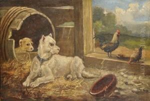 Chienset Poules