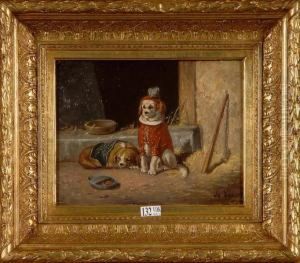 Les Petits Chiens De Cirque