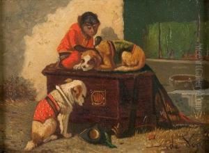 Singe Et Chiots