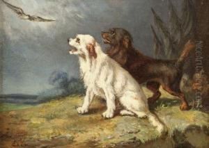 Chiens A L'oiseau by Vincent de Vos