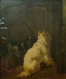 Two Dogs by Vincent de Vos