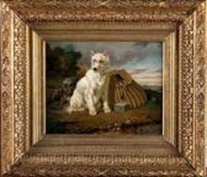 Les Chiens Du Pecheur by Vincent de Vos