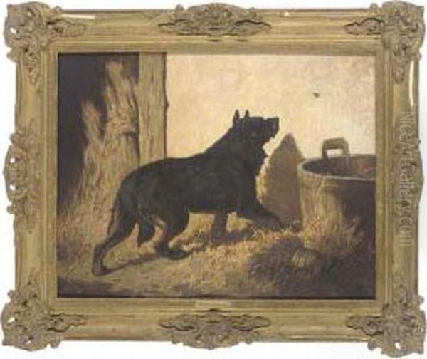 An Unwelcome Intruder - view 1