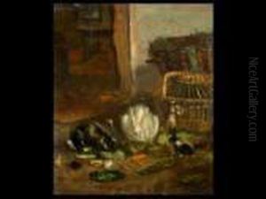 Die Futterung Der Kaninchen by Vincent de Vos