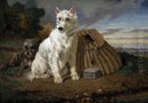 Les Chiens Du Pecheur by Vincent de Vos