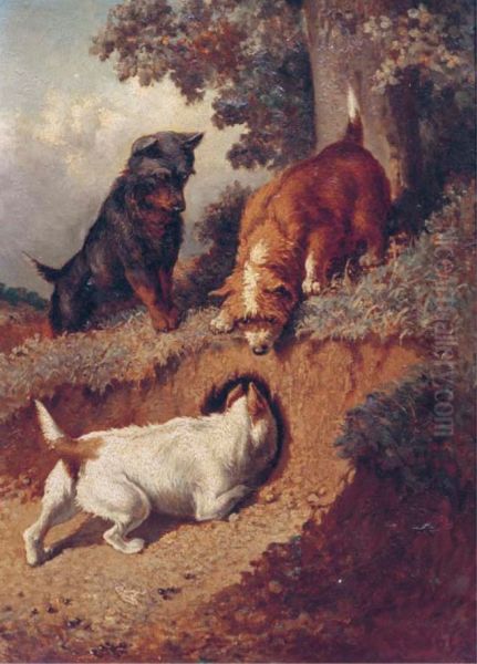 Chasing Rabbits - view 1