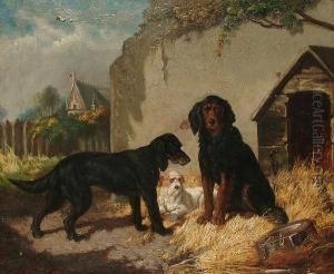 Outside The Kennel