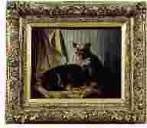 Chiens De Cirque Devant Un Rideau De Scene by Vincent de Vos