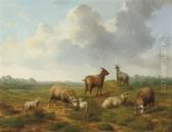 In The Meadow - view 1