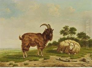 Sheep And Goat In A Landscape by Arthur De Waerhert