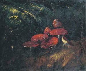 Toadstools