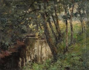 Woodview