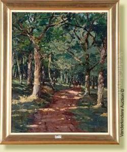 Allee Animee En Foret Allee Animee En Foret