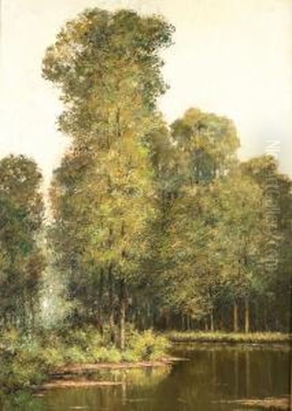 Coin D'etang, Overijssche - view 1