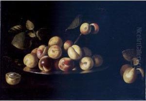 Still Life Of Apricots On A Platter