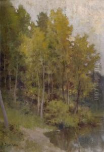 Etang En Foret