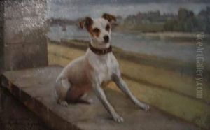 Le Chien De La Maison Le Chien De La Maison