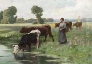 Leading The Herd To Drink