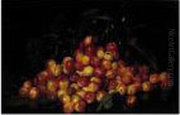 Still Life With Sour Cherries by Joseph Decker