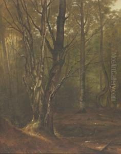 Woodland Landscape Woodland Landscape