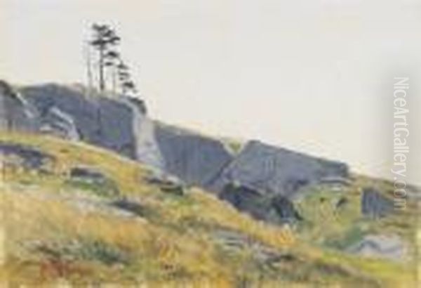 Rocks On A Hillside - view 1