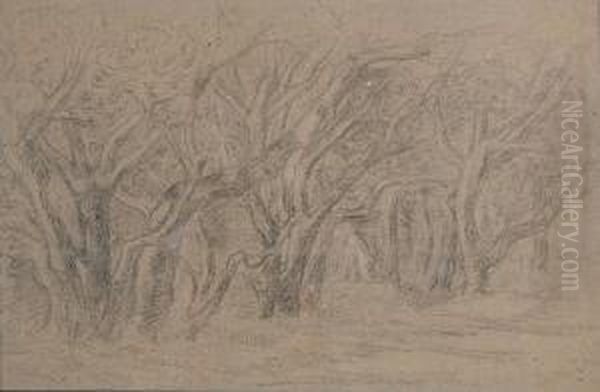 Bomen - view 1