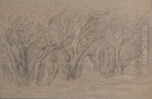 Bomen by William Degouve de Nuncques