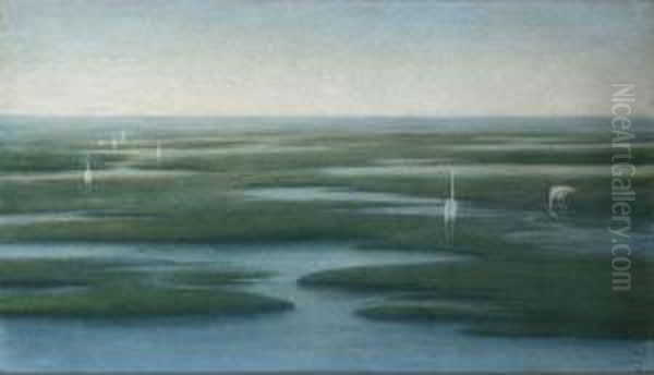 Flamingos - view 1