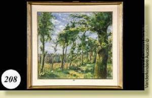 Paysage Paysage