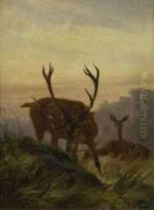Hirsch Mit Rehen In Der Dammerung. by Carl Friedrich Deiker