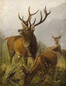 Hirsch Mit Schmaltieren. Hirsch Mit Schmaltieren.