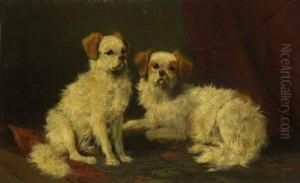 Zwei Hundchen. by Carl Friedrich Deiker