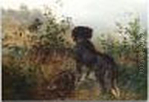 The Hunter - view 1