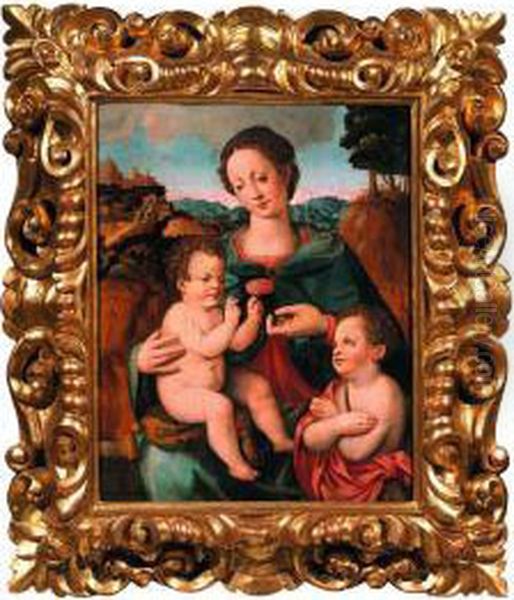 Madonna Col Bambino E San Giovannino In Un Paesaggio - view 1