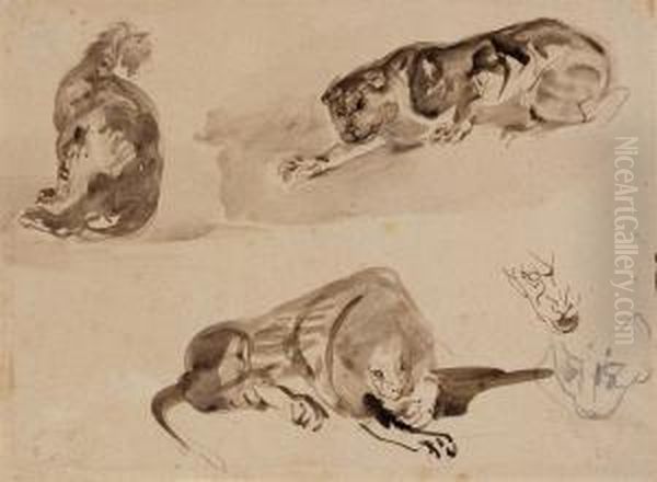 Studies Of A Cat And Two Lions - view 1