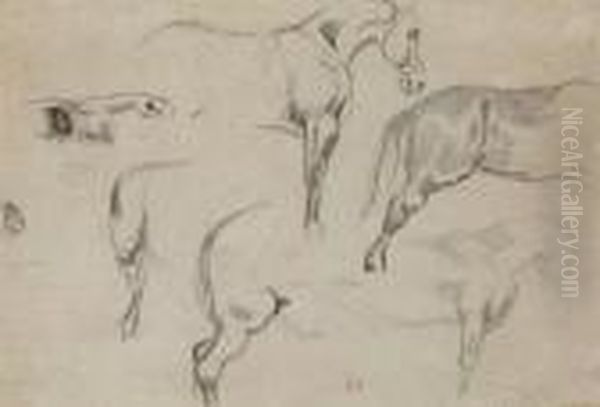 Studies Of A Horse - view 1