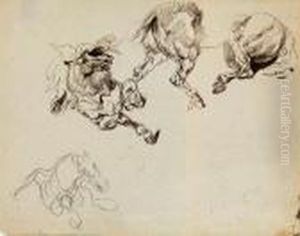 Studies Of The Front And Hind Quarters Of A Rearing Horse