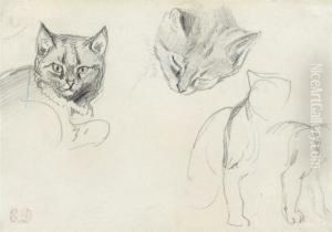 Two Studies Of A Cat's Head, With Subsidiary Sketches Of A Seated Cat