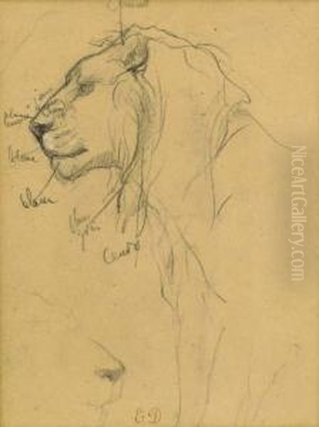 Two Studies Of A Lion's Head - view 1