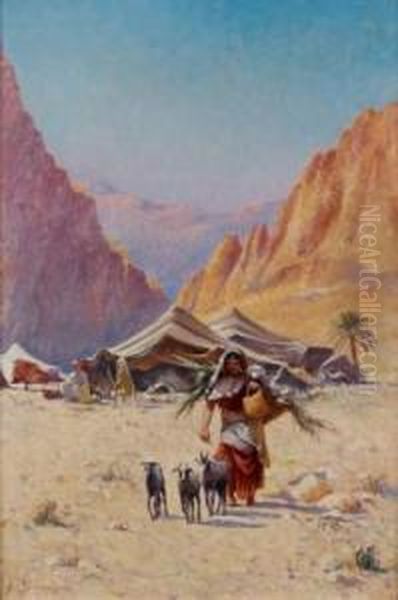 Campement Bedouin - view 1
