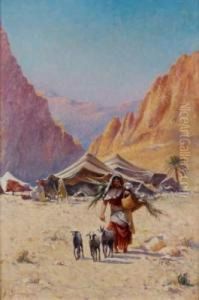 Campement Bedouin