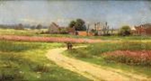 Champs De Tulipes - view 1