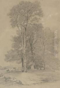 Study Of Trees by William Alfred Delamotte