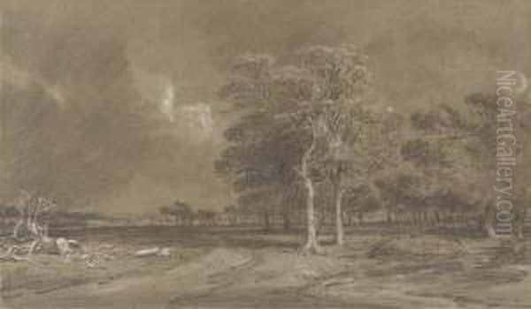 An Extensive Parkland Landscape - view 1